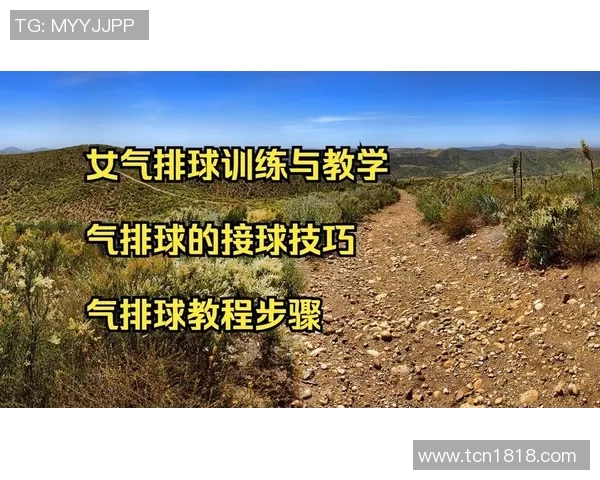 提升排球速度的科学训练方法与实用技巧解析